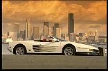 Firarri1.jpg (5128 bytes)